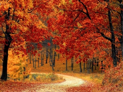 herfst-electro-medico