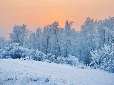 winter-electro-medico